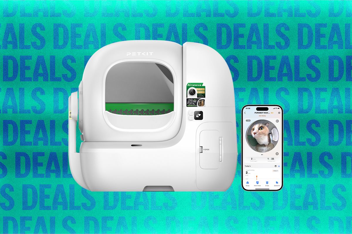 Petkit Automatic Cat Litter Box Sale (2026) — Dublin Technology news